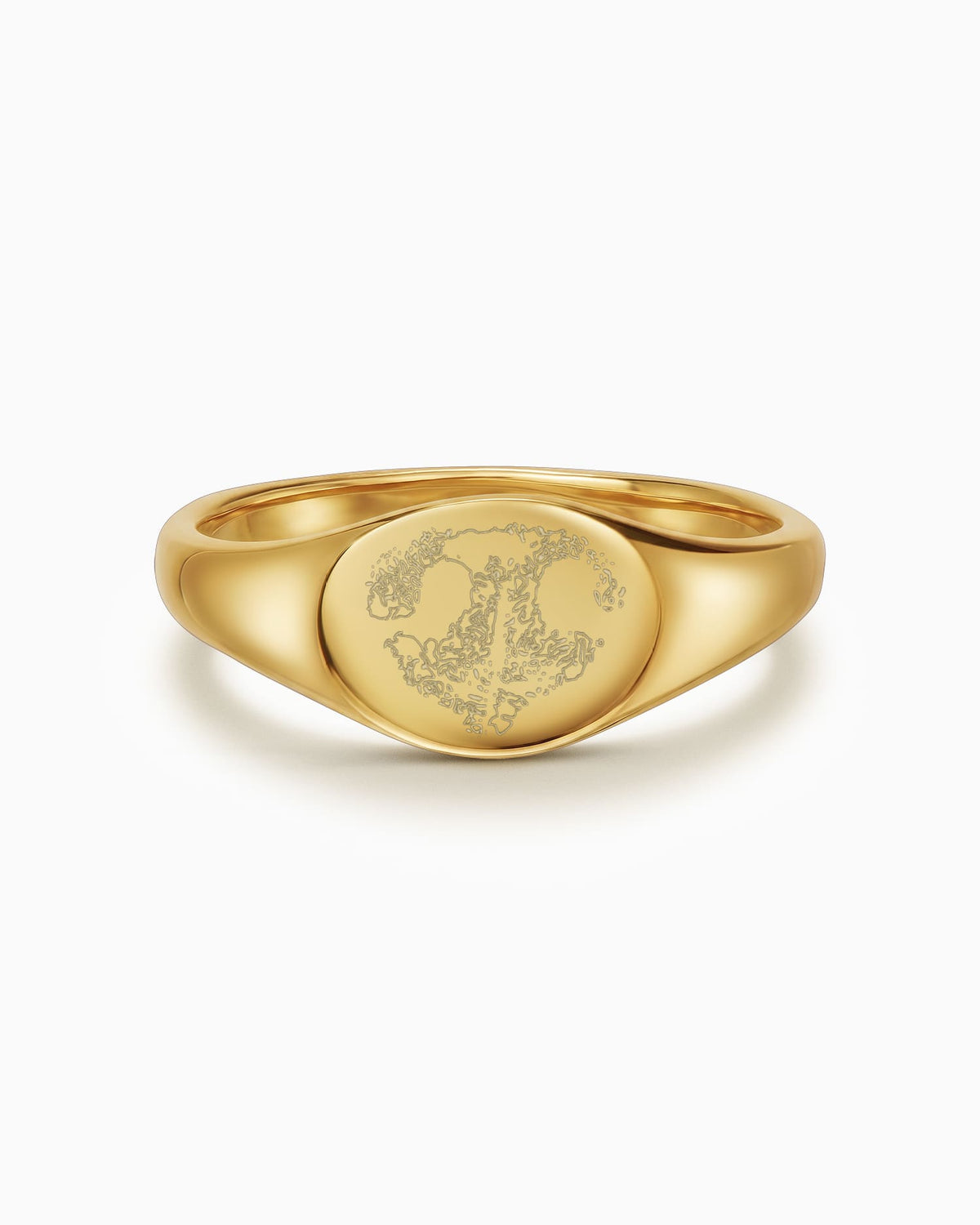 Goudring voor dames met gegraveerde neusafdruk